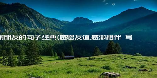 感谢朋友的句子经典(感恩友谊，感激相伴 写一封感谢闺蜜的信)
